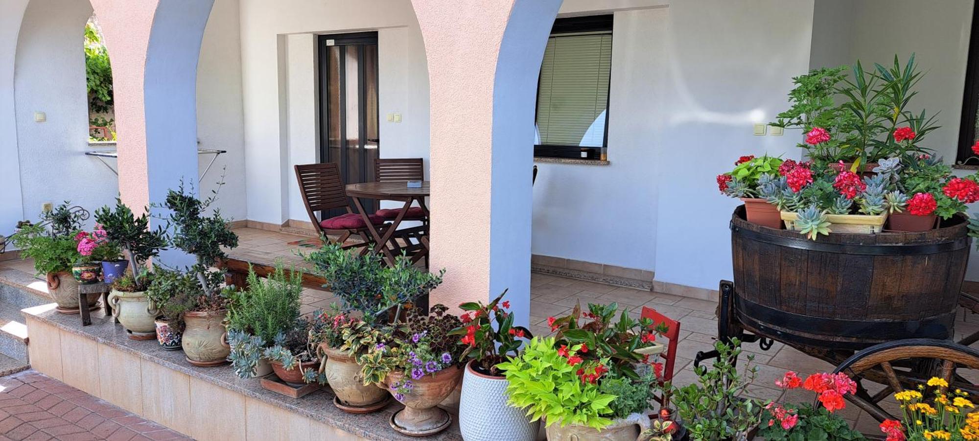 Apartmani Bubnic Umag Zewnętrze zdjęcie