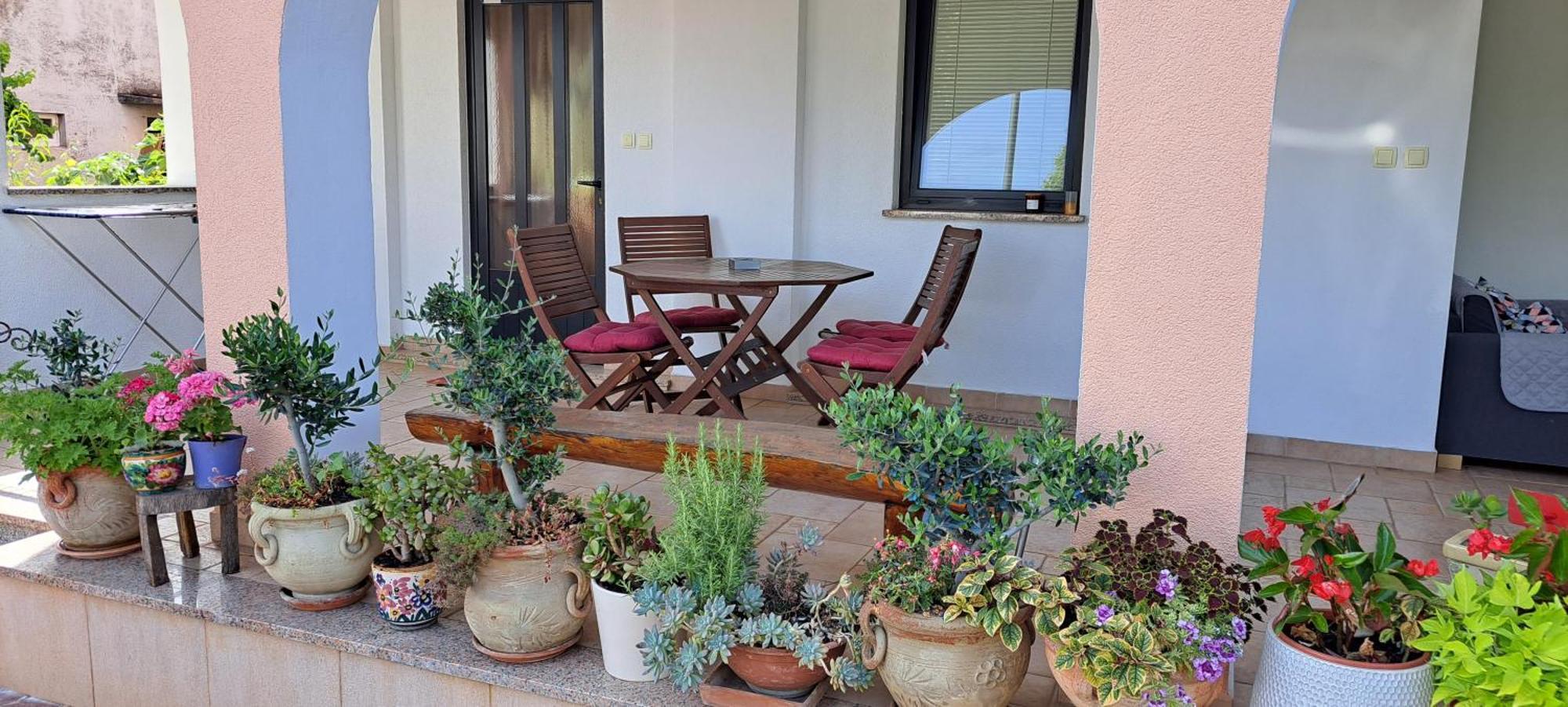 Apartmani Bubnic Umag Zewnętrze zdjęcie