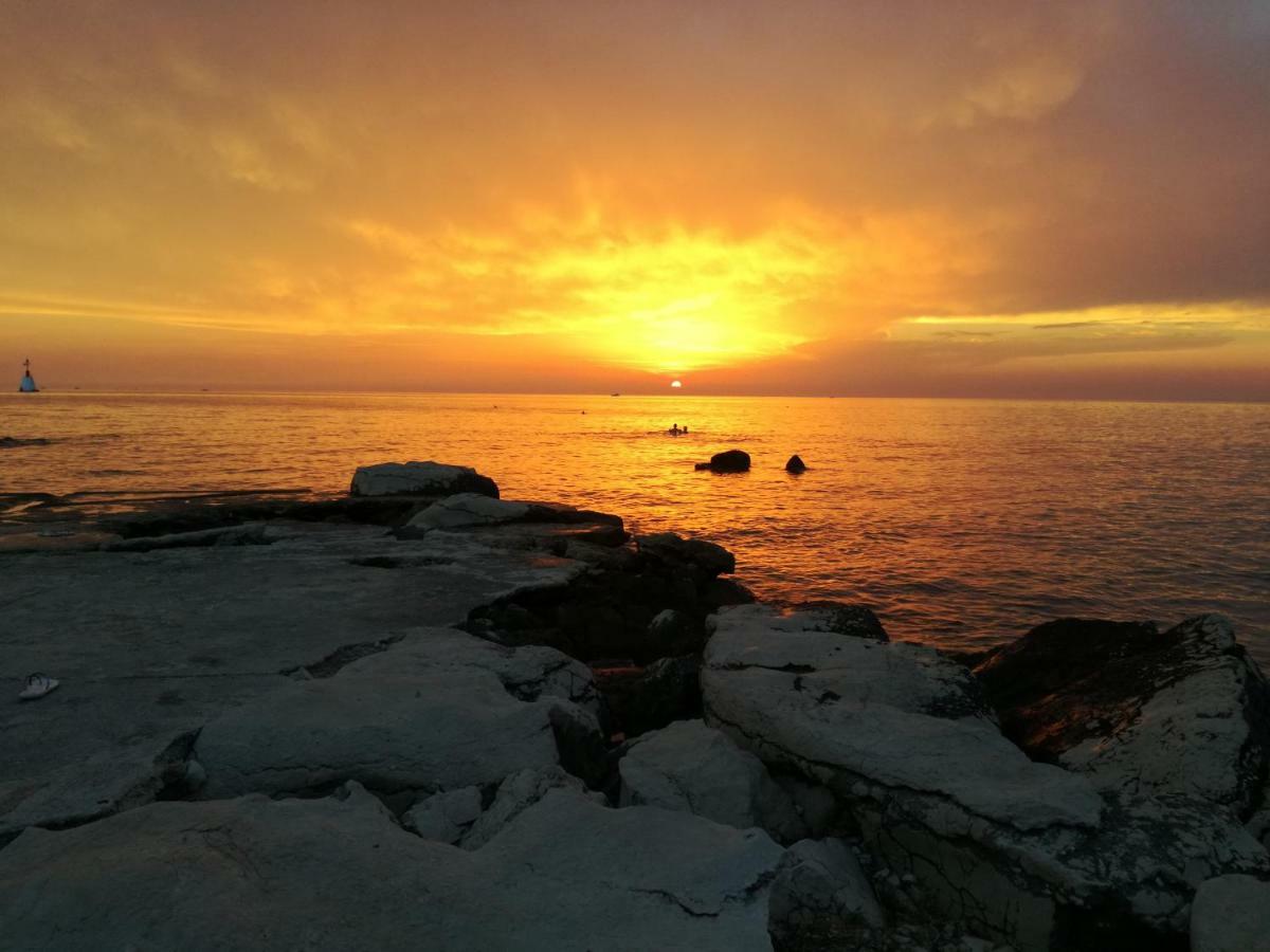 Apartmani Bubnic Umag Zewnętrze zdjęcie
